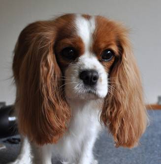 Frida 3 år
